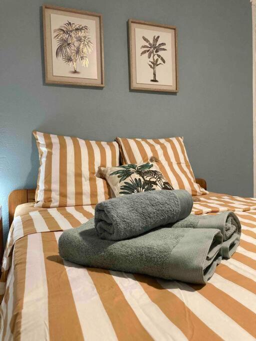Ti Repos Martinique - Maison Avec Spa Schoelcher Ngoại thất bức ảnh